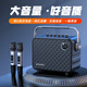 山水（SANSUI） 無線藍牙音箱擴音器手提家庭卡拉OK低音炮雙話筒車載音樂低音炮樂器便攜式迷你音響 黑色【立體音雙話筒+聲卡音效】