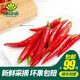 小湯山 紅米椒 約100g 新鮮蔬菜當(dāng)天采摘北京農(nóng)場順豐到家