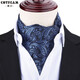 弗倫巴納 男士領(lǐng)巾免燙襯衫領(lǐng)口巾英倫西裝潮男防皺雙面領(lǐng)口巾圍巾 深藍佩斯利紋領(lǐng)巾
