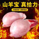 愷蒂鮮 現宰羊蛋羊寶新鮮冷凍男用羊球生羊鞭羊睪丸外腰子 4斤新鮮羊寶