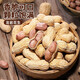 比比贊（BIBIZAN）龍巖花生帶殼水煮五香蒜香花生米熟多味零食品炒貨休閑下酒菜小吃 蒜香味【大顆粒飽滿酥脆】 500g