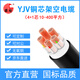 國超電纜YJV-0.6/1KV-4*50+1*25銅芯國標架空戶(hù)外防老化4+1芯電力電纜 1米【現貨】