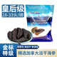 OCEAN FAIRY加拿大進口紅極淡干海參北極海參野生干貨（京東快遞） 皇后級 454g*1袋 圓筒袋裝28-33頭