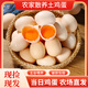 農(nóng)家林下散養(yǎng)谷物蟲草喂養(yǎng)土雞蛋40枚當(dāng)日現(xiàn)撿草雞蛋笨雞蛋 40g±5g 30枚