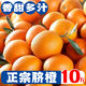 10斤新鮮臍橙橙子新鮮當(dāng)季水果薄皮整箱 10斤 臍橙 大果 現(xiàn)摘