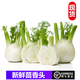 桃李村【順豐】新鮮茴香頭 球莖茴香根茴香菜頭 可炒牛肉西餐香料 500g