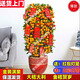 愛(ài)惜金桔盆栽四季大型觀(guān)賞金橘室內年橘年宵花卉年桔子樹(shù)植物帶果發(fā)貨 90-100公分（不帶盆）送配飾