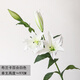 泰錦瑞假花仿真花客廳擺花瓶花束長(cháng)枝百合花餐桌客廳裝飾塑料花絹花插花 白色 3花頭1花苞高97cm 1支