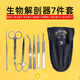 可普生物解剖工具刀套裝標本解剖制作工具七件套四件套醫(yī)學生物實驗室器材儀器探針剪刀刀片