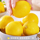 uncle lemon新鮮檸檬四川特產(chǎn)安岳水果榨汁泡茶切片整箱奶茶店果茶產(chǎn)地直供 20個(gè)（單果重量50-80g）