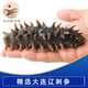 東方態(tài)美 大連即食海參甄選遼刺參冷凍深海高品質(zhì)海鮮水產(chǎn)節(jié)慶禮品 500g 11-15頭