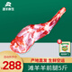 灘羊鮮生 寧夏灘羊肉 生鮮羊肉禮盒羊前腿5斤新鮮羔羊腿燒烤火鍋食材清真