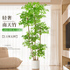 臨雅南天竹仿真綠植室內大型盆栽高端輕奢假花樹(shù)客廳仿生植物落地擺件 2.1米丨五桿南天竹+白圓柱盆