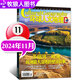 【四大入?？凇凯h(huán)球人文地理雜志2025年1-8月新【全年/半年訂閱/2024年可選】國(guó)家旅游人文地理歷史自然科普期刊非過刊 現(xiàn)貨 24年11月【多瑙河三角洲】