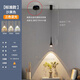小吊燈入戶(hù)門(mén)玄關(guān)氛圍燈臥室床頭觸摸升降人體感應已接入米家APP 標準款 沙黑 三色變光