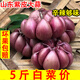 2025年新鮮紫皮干蒜可腌制臘八蒜9斤5斤整箱新曬干十成干紫皮干蒜 1000g 優(yōu)選特大果