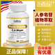 斐爾特人參皂苷rg3復合片rh2營(yíng)養品 成人老年人營(yíng)養食品 高端奢養 2瓶裝