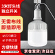 遠(yuǎn)波 燈頭帶線帶開(kāi)關(guān)led燈泡懸掛e27螺口球泡燈節(jié)能燈直插式插座燈 3米燈頭線（不含燈泡）送掛鉤