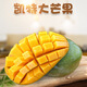 圖石果記四川攀枝花凱特芒3斤當季新鮮青芒果甜糯多汁大臉芒孕婦 5斤一級小果（約9個(gè)