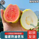 南步福建紅心芭樂【順豐速發(fā)】白番石榴5斤軟糯奶油石榴新鮮巴樂水果 紅白芭樂 5斤