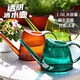 生長(cháng)魔勵長(cháng)嘴灑水壺 家用花卉盆栽澆花壺加厚塑料淋花澆水壺 1.4L-透明藍