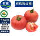 聽蔬有機西紅柿 酸甜美味 沙瓤粉番茄/普羅旺斯 新鮮無農(nóng)殘健康輕食 500g （1斤）