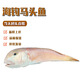 乃鮮海產(chǎn)品深海魚(yú)新鮮馬頭魚(yú)方頭魚(yú)深海甘鯛魚(yú)整條冷凍發(fā)出 2斤優(yōu)惠價(jià) 3-4兩/條