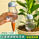 九千谷自動滴水器澆花神器養(yǎng)花卉綠植盆栽懶人滲水器 小鳥款1個裝4886