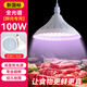 瑞豐年2024新款新國標led生鮮照明鮮豬肉隱形紅熟食海鮮水果白光市場(chǎng)燈 【鮮肉專(zhuān)用 100W】新國標高顯色 配3米燈頭開(kāi)關(guān)線(xiàn)
