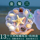 天然海螺貝殼套餐 標(biāo)本螺海星禮盒海洋生物科普幼兒園科教擺件 套餐三