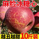 【2025丑蘋(píng)果】正宗丑蘋(píng)果大涼山新鮮水果脆甜當季鹽源紅富士 帶箱10斤大果精品裝