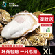 鮮海道【活鮮】鮮海道生蠔  乳山牡蠣 新鮮海蠣子生鮮貝類 優(yōu)選XL帶箱5斤（20-25只））