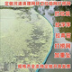 清理河道水面垃圾樹(shù)葉漂浮物攔污網(wǎng)水草蝦田打撈青苔浮萍拉網(wǎng)神器 三線(xiàn)縫紉5米長(cháng)50厘米高加墜子