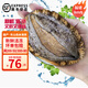 時(shí)寐東山島九孔大鮑魚(yú)深海海鮮東山島直發(fā)火鍋燒烤海鮮水產(chǎn)中秋禮品 6頭/500克