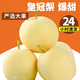 皓謙皇冠梨新鮮梨2-9斤整箱應(yīng)季水果雪梨白梨甜梨 5斤 甄選大果
