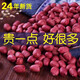 谷耘滇2025年新紅皮花生新貨5斤紅衣農家四粒紅花生仁新鮮紅皮生的 3斤（500gx3袋）農家花生