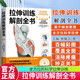 正版 拉伸訓練解剖全書(shū) 基于解剖學(xué)原理 全方位的科學(xué)拉伸訓練 北京科學(xué)技術(shù)出版社 圖解肌肉訓練書(shū)籍 M