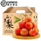 田良季【JD/順豐】遼寧鞍山山南果梨東北特產(chǎn)南國梨子香水梨金南果送禮 甄選10斤陽(yáng)面紅果禮盒裝丨凈9斤 精選5A大果丨濃郁酒香