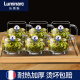 樂美雅（Luminarc）法國樂美雅耐熱鋼化玻璃杯子家用茶杯帶把水杯大容量泡茶杯加厚綠 諾卡380ML【六支】+竹盤