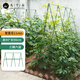 九千谷 園藝支架陽(yáng)臺花園植物攀爬架豆角黃瓜架種菜支撐架 管徑11mm7055