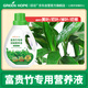 綠盼富貴竹營養(yǎng)液專用葉子發(fā)黃竹科水養(yǎng)水培肥料綠植盆栽土培轉(zhuǎn)運(yùn)竹