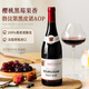 CHATEAU DE HARTES法國(guó)進(jìn)口紅酒 勃艮第AOP黑皮諾干紅葡萄酒 自飲單瓶裝750ml*1
