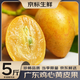 優(yōu)味集【順豐JD】黃皮果雞心果新鮮當季酸甜黃彈子孕婦水果帶枝整箱 1000g（鮮采帶枝）