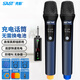 先科（SAST） 充電無(wú)線(xiàn)麥克風(fēng)話(huà)筒U段家庭KTV唱歌演講舞臺K歌會(huì )議音箱音響功放卡拉OK 充電款無(wú)線(xiàn)話(huà)筒 雙咪