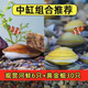 專(zhuān)吃魚(yú)屎糞便黃金小河蚌河蜆淡凈水觀(guān)賞螺鮮活物黃金螺貝殼苗活體 中缸推薦-黃金組合