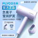 飛科（FLYCO）電吹風(fēng)機(jī)可折疊風(fēng)機(jī)負(fù)離子護(hù)發(fā)學(xué)生宿舍大功率家用理發(fā)店酒店風(fēng)筒 FH6277 1800W可折疊帶負(fù)離子