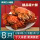【活蟹】黃河口大閘蟹鮮活大4兩公3兩母源頭直達(dá)死蟹包賠可發(fā)全母 8只