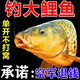 開(kāi)口搶野釣專(zhuān)用鯉魚(yú)餌料垂釣四季通用專(zhuān)攻鯉魚(yú)江河湖泊鄧剛推薦釣魚(yú)神器 【3包裝】