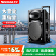 紐曼B12廣場舞音響12寸戶外大音量藍牙拉桿音箱娛樂大功率可移動k歌低音炮雙麥版室外唱歌外放設備送人 B12雙麥版
