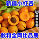 【順豐包郵】新疆小紅杏新鮮水果杏子吊干杏當季水果批發(fā)包郵整箱 2斤【15枚以?xún)取? title=